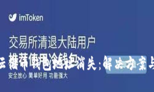 如何应对云储币钱包地址消失:解决方案与预防措施