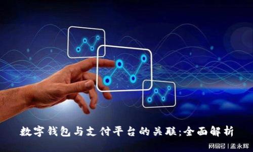 数字钱包与支付平台的关联:全面解析
