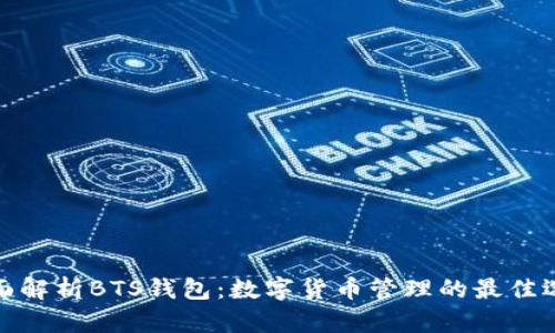 全面解析BTS钱包：数字货币管理的最佳选择