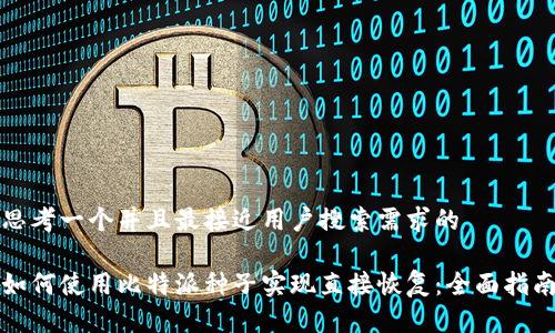 思考一个并且最接近用户搜索需求的

如何使用比特派种子实现直接恢复：全面指南
