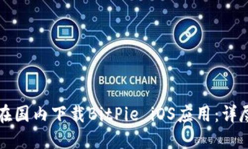 如何在国内下载BitPie iOS应用：详尽指南