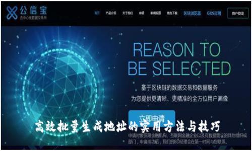 高效批量生成地址的实用方法与技巧
