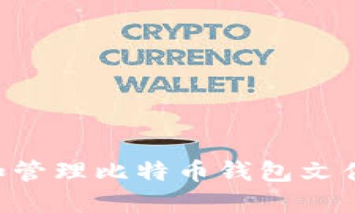 如何选择和管理比特币钱包文件:全面指南