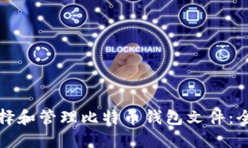 如何选择和管理比特币钱包文件:全面指南