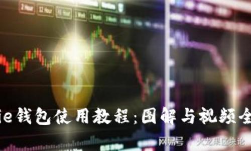 Bitpie钱包使用教程:图解与视频全解析
